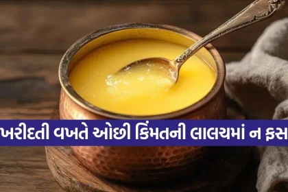 Ghee 0707.jpg.webp