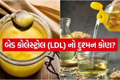 Ghee vs Oil 1407.jpg.webp