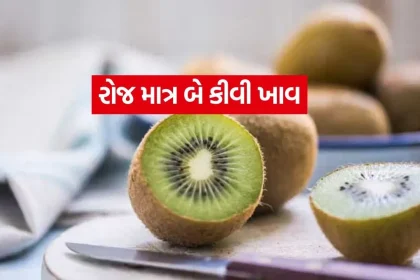 Kiwi 0107.jpg.webp