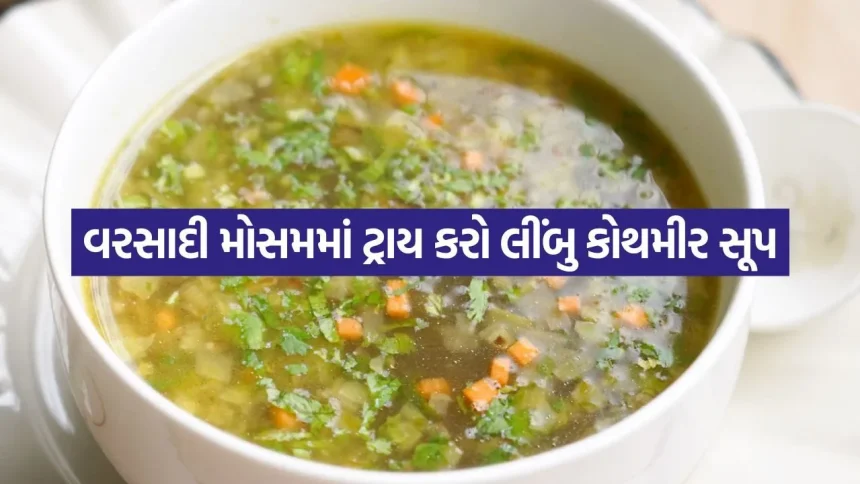 ચોમાસામાં શરદી-ઉધરસમાં રાહત આપશે આ ગરમાગરમ સૂપ 1 Lemon Coriander Soup 3007.jpg.webp