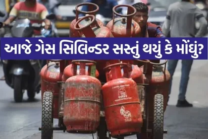 Lpg 2806.jpg.webp
