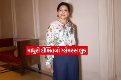 Madhuri Dixit3.jpg.webp