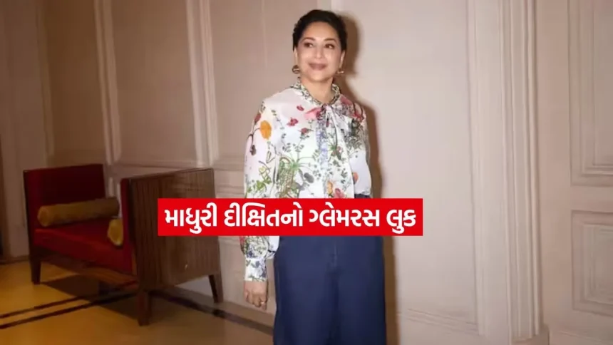 Madhuri Dixit3.jpg.webp