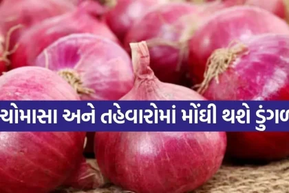 Onion 0507.jpg.webp