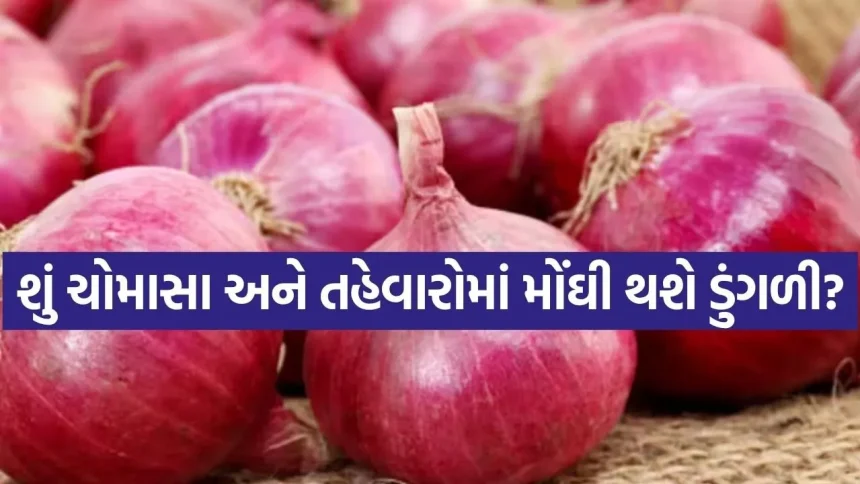 Onion 0507.jpg.webp