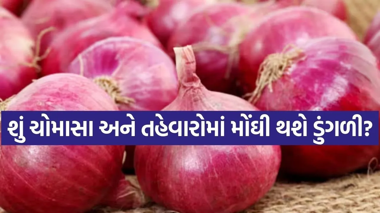 Onion 0507.jpg.webp