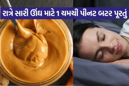 Peanut butter 2407.jpg.webp