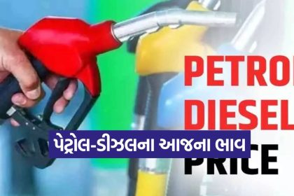 Petrol 2010