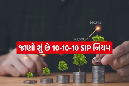 SIP 2307.jpg.webp