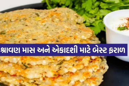 Sabudana paratha 1707.jpg.webp