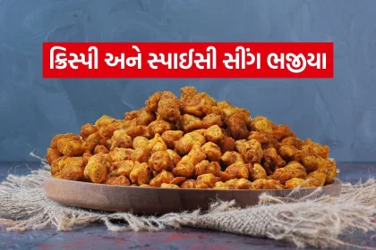 Sing Bhajiya 2007.jpg.webp