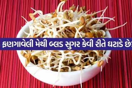 Sprouted Fenugreek 2807.jpg.webp