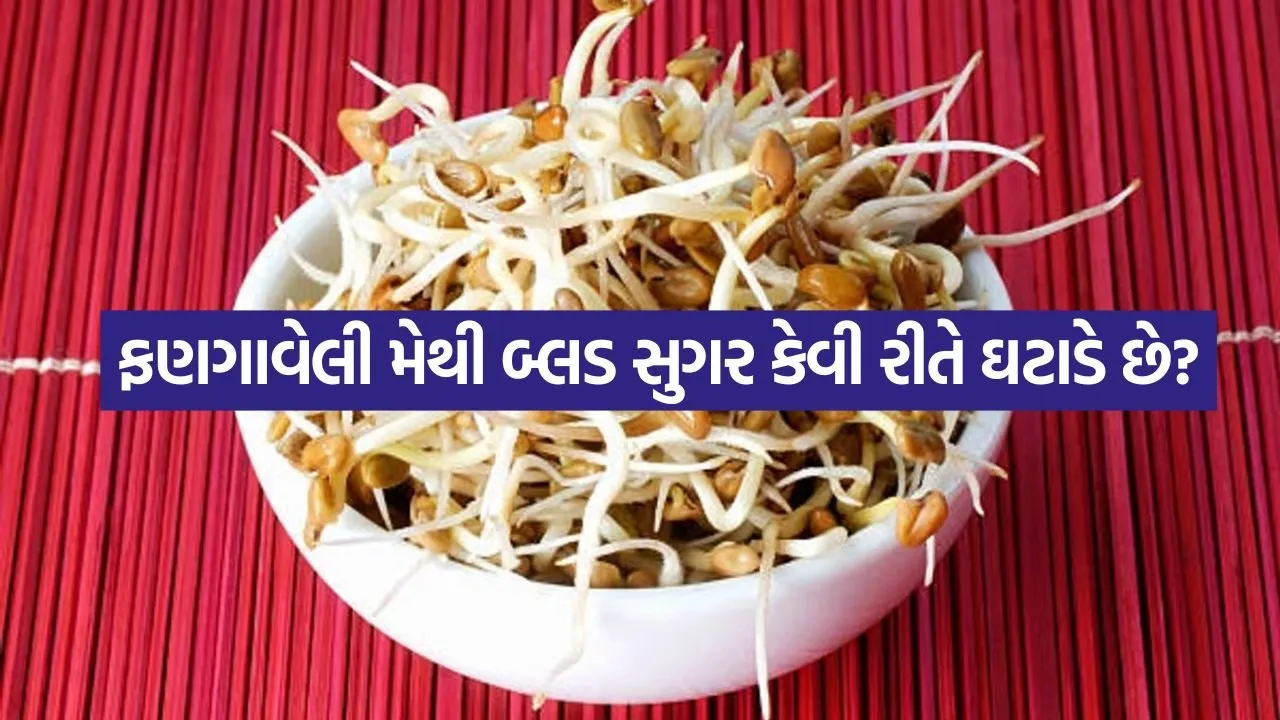 Sprouted Fenugreek 2807.jpg.webp