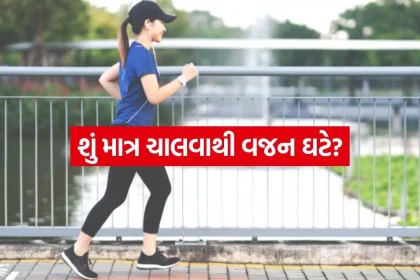 Walk 2807.jpg.webp