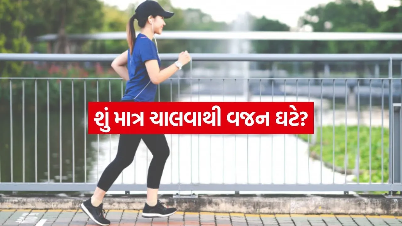 Walk 2807.jpg.webp