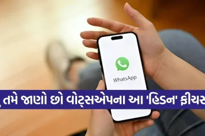 WhatsApp 2.jpg.webp
