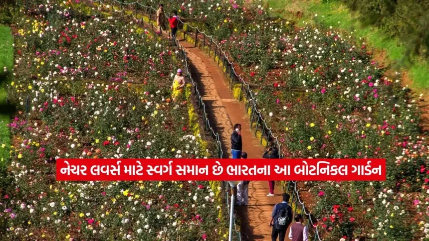 નેચર લવર્સ માટે બેસ્ટ ડેસ્ટિનેશન: ભારતના આ બોટનિકલ ગાર્ડનમાં મળશે અદભૂત શાંતિ 1 botanical garden 2.jpg.webp