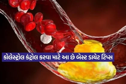 cholesterol1.jpg.webp