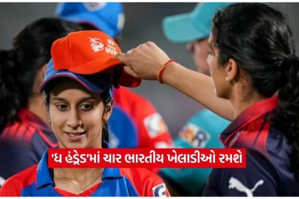 cricket.jpg.webp