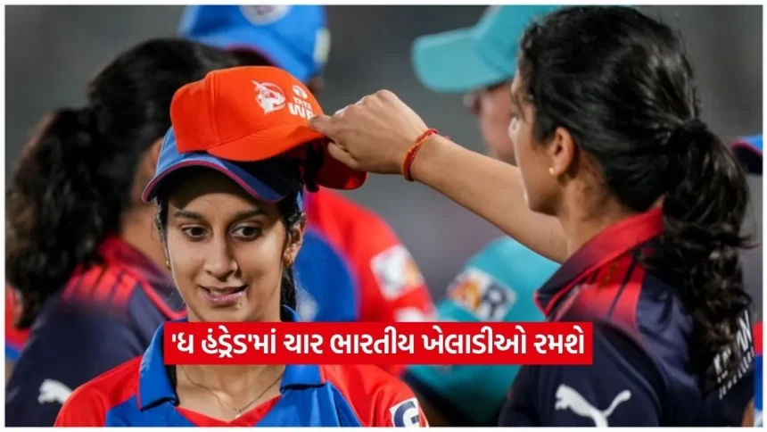 cricket.jpg.webp
