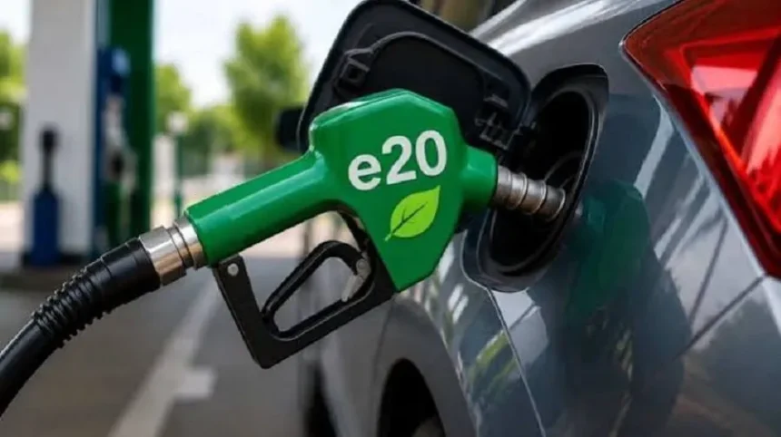 e201.jpg.webp