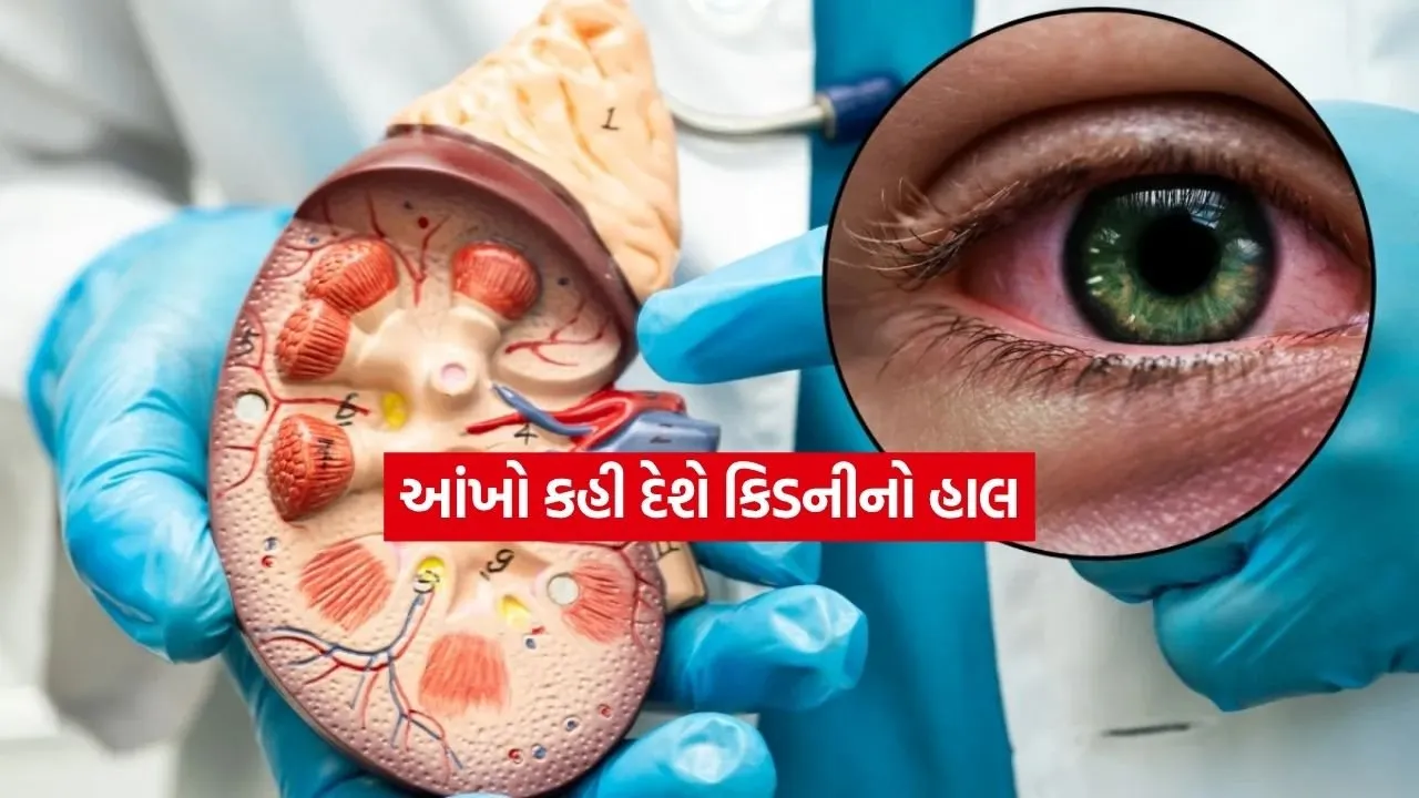 eyes.jpg.webp