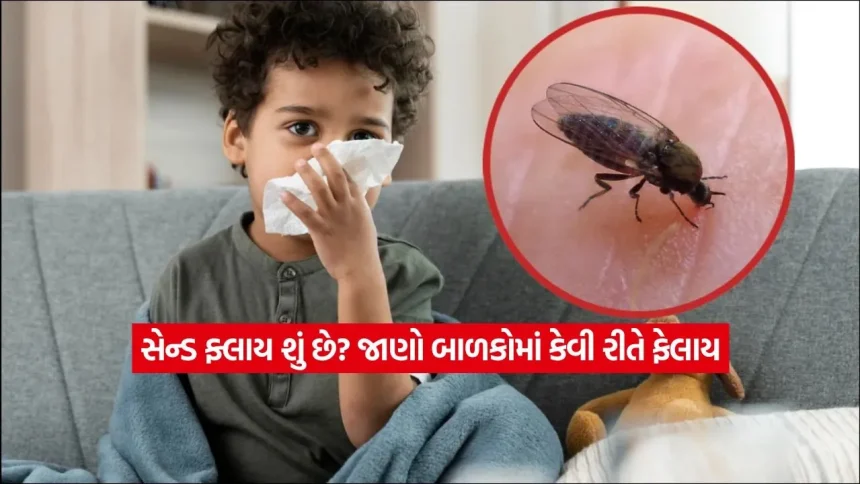 fly.jpg.webp