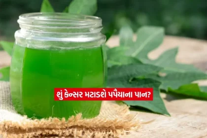health2.jpg.webp