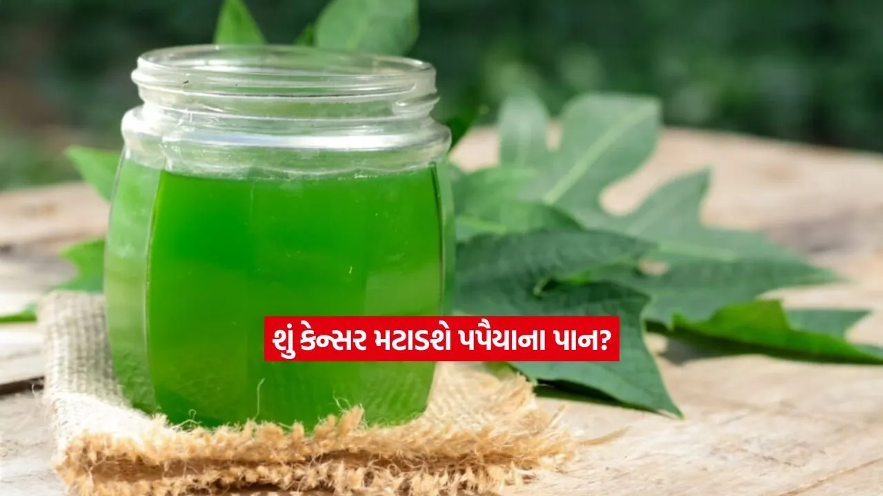 health2.jpg.webp