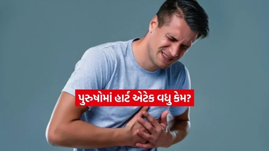 સ્ત્રીઓ કરતાં પુરુષોમાં હાર્ટ એટેકનું જોખમ વધુ કેમ? ડોકટરો શું કહે છે 1 heart.jpg.webp