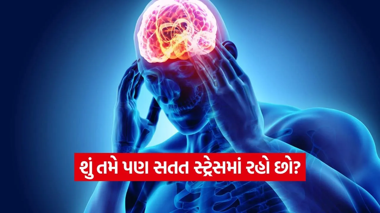 iNDIA 2026 07 22T104410.961.jpg.webp