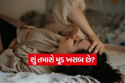 iNDIA 2026 07 30T101039.468.jpg.webp