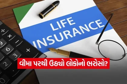iNDIA 25.jpg.webp