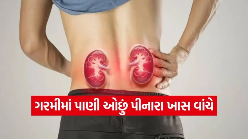 ભૂલથી પણ ન કરતા આ ભૂલ, ઉનાળાની લૂ તમારી કિડનીને કરી શકે છે કાયમ માટે નકામી! 1 india 1 2026 07 06T195411.137.jpg.webp