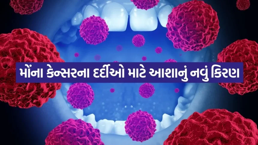 ઓરલ કેન્સર સામે મોટી સફળતા: હેલ્ધી સેલ્સને નુકસાન પહોંચાડ્યા વિના કેન્સરના કોષોનો ખાતમો કરશે અલ્ટ્રાસાઉન્ડ, ભારતીય વૈજ્ઞાનિકોની અદભુત શોધ 1 india 1 68.jpg.webp