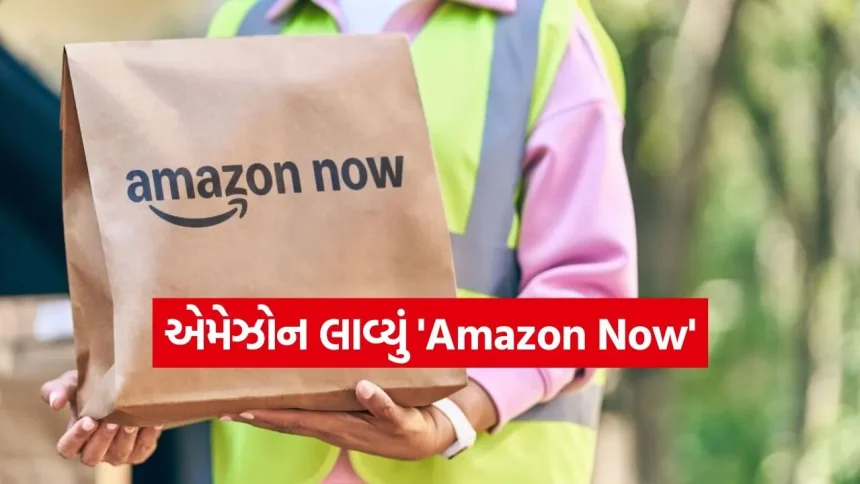 ૧૦ મિનિટ ડિલિવરીની જંગમાં એમેઝોનની એન્ટ્રી! હવે બ્લિંકિટ અને સ્વિગીનું શું થશે? 1 india 1 86.jpg.webp