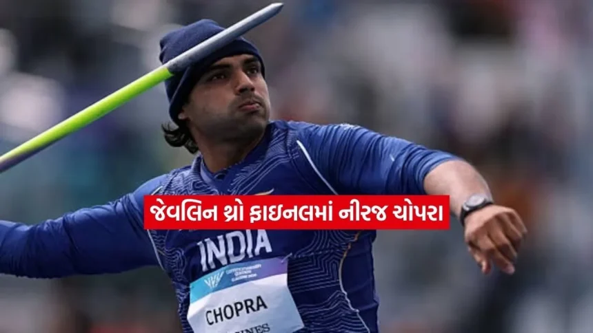 nirraj.jpg.webp