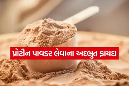 protein powder 1807.jpg.webp