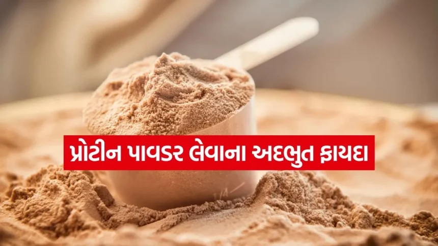 રસોડાની વસ્તુઓમાંથી ઘરે જ તૈયાર કરો પ્રોટીન પાઉડર 1 protein powder 1807.jpg.webp