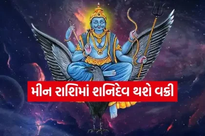 shanidev 3006.jpg.webp