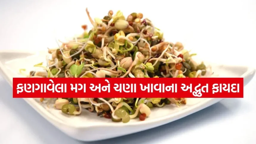રોજ સવારે ખાલી પેટે ફણગાવેલા મગ અને ચણા ખાવાના અદ્ભુત ફાયદા 1 sprouted moog 1307.jpg.webp