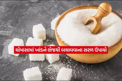 sugar.jpg.webp
