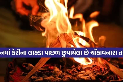 1785877438 Copy of Satya web temp 21.jpg.webp
