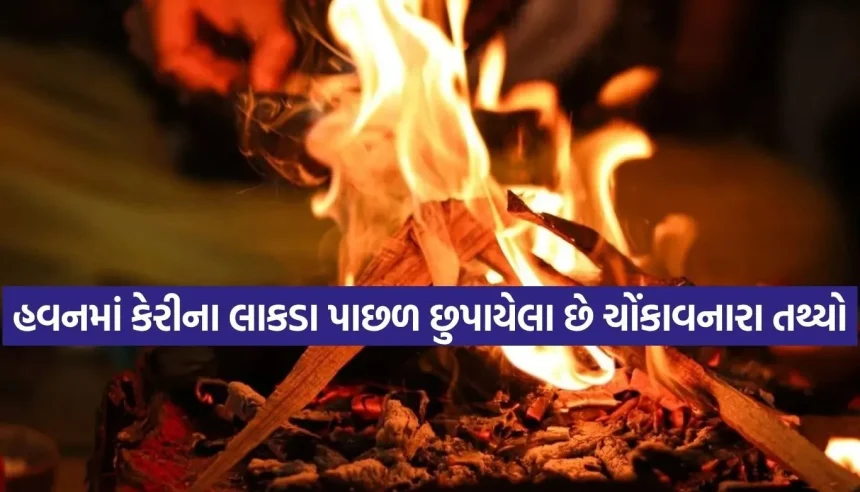હવનમાં માત્ર કેરીના લાકડાનો જ ઉપયોગ કેમ થાય છે? જાણો ચોંકાવનારા ધાર્મિક અને વૈજ્ઞાનિક કારણો 1 1785877438 Copy of Satya web temp 21.jpg.webp