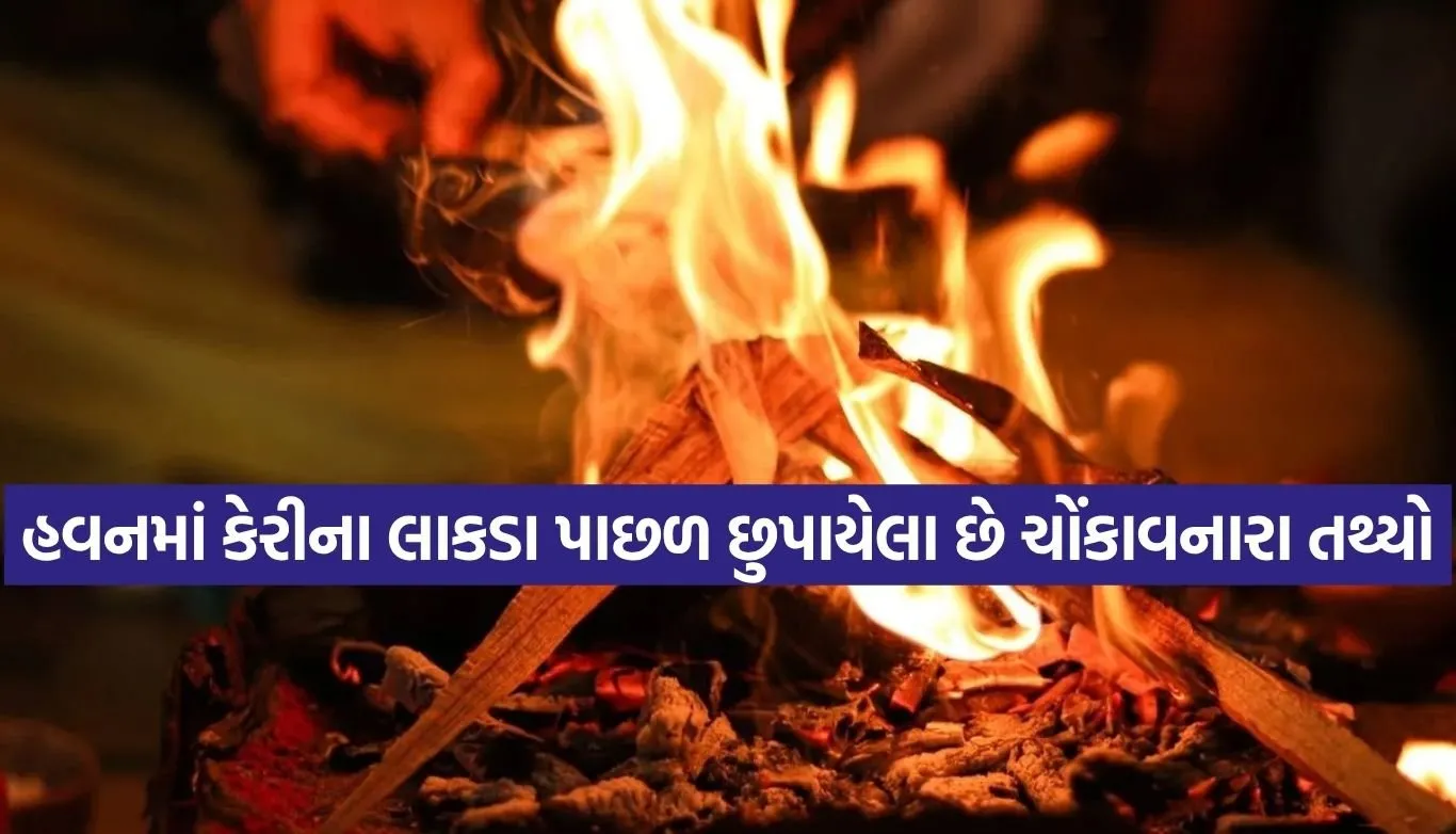 1785877438 Copy of Satya web temp 21.jpg.webp