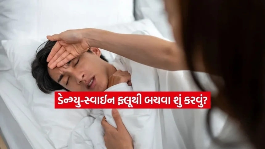 દિલ્હીમાં ડેન્ગ્યુ અને સ્વાઈન ફ્લૂના કેસ વધ્યા, જાણો શરીરમાં કયા લક્ષણો દેખાય છે અને કેવી રીતે કરવો બચાવ? 1 1786138736 health.jpg.webp