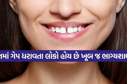 1787176181 Copy of Satya web temp 38.jpg.webp