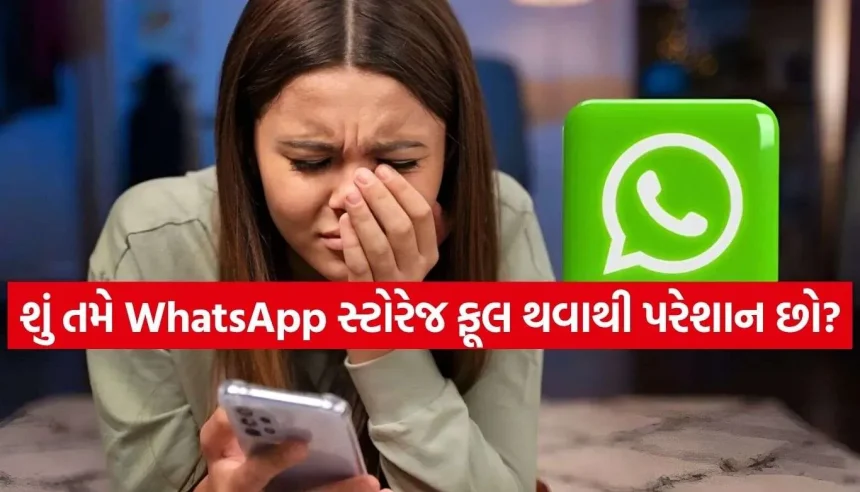 WhatsAppની આ ખાસ ટિપ્સ જાણી લો, ક્યારેય નહીં આવે ‘Storage Full’નો પ્રોબ્લેમ! 1 1787381446 Copy of Satya web temp 22.jpg.webp