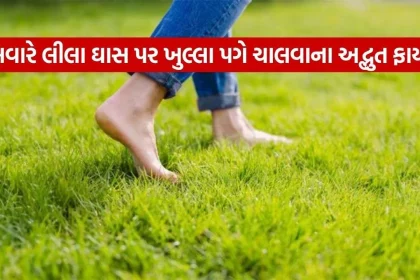 Barefoot Walking 2908.jpg.webp