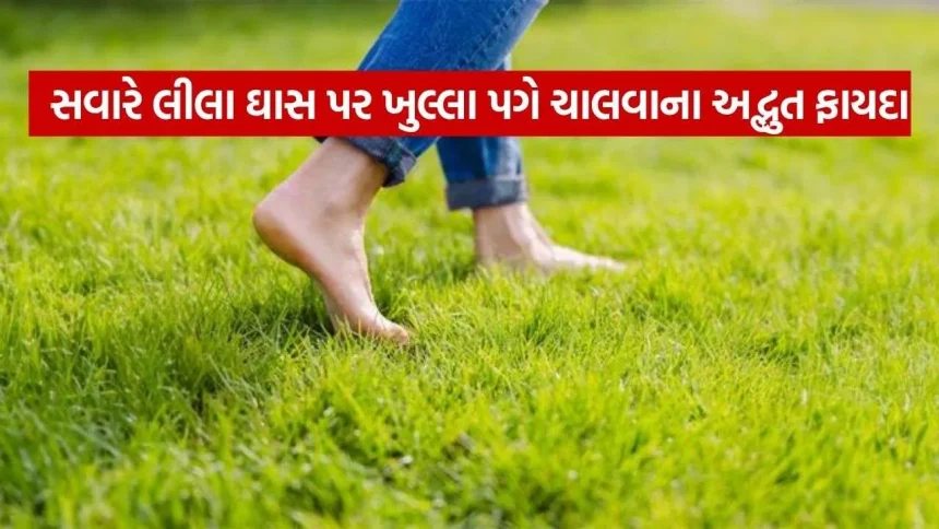 શું ખુલ્લા પગે ચાલવું હૃદય અને બ્લડ પ્રેશર માટે ફાયદાકારક છે? 1 Barefoot Walking 2908.jpg.webp